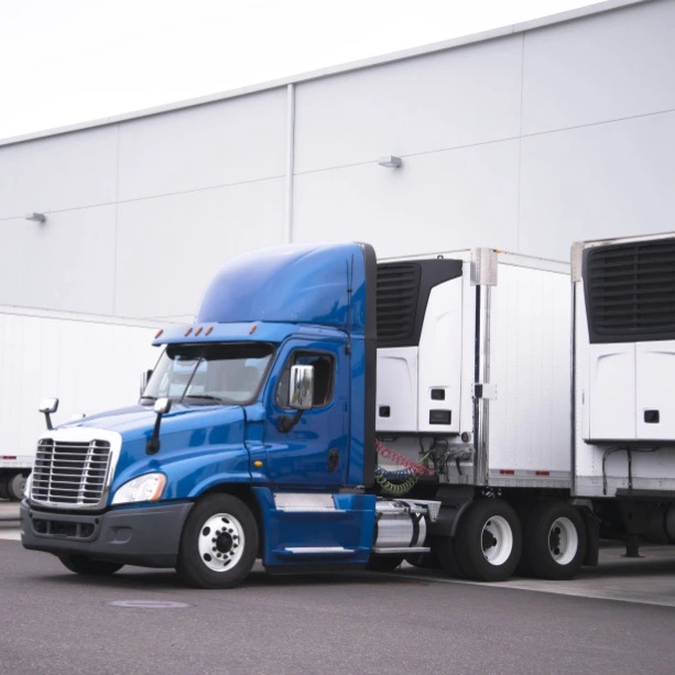 services refrigerated